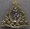 Capbadge rccs kc or lined globe.jpg