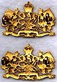 Collar rccs kc off lugs bk.jpg