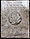 Naylor, Frederick William grave marker.jpg