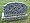 Carrington, Arthur Frederick Henry grave marker.jpg