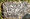 Clements, Dennis Winston grave marker.jpg