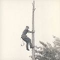 Signals Militia Summer Camp Central Command 1956 Album - Page 19b.jpg