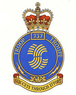 Unit crest 737 Comm Tp.jpg