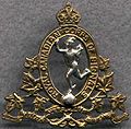 Capbadge rccs kc or smooth globe.jpg