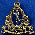 Capbadge ccs or lug 2.jpg