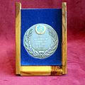 Unifil medallion frame3.jpg