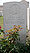 Uglow, Richard Hubert Lewis grave marker.jpg