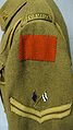 Great War CSC Uniform (1) Tunic (5).jpg