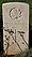 Speck, William Cameron grave marker.jpg