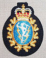 Capbadge c&e or.jpg