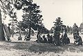 Signals Militia Summer Camp Central Command 1956 Album - Page 5.jpg